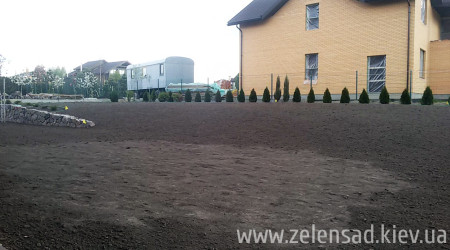 Автополив, посадка деревьев и кустов