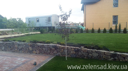 Автополив, посадка деревьев и кустов