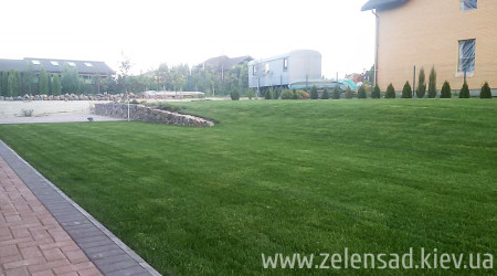 Посадка деревьев и кустов, рулонный газон