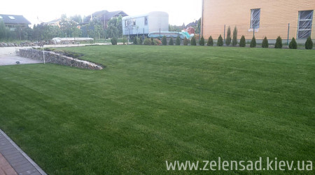 Посадка деревьев и кустов, рулонный газон