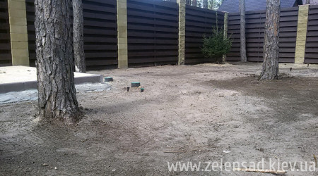 Автополив, посевной газон