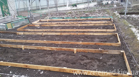 Капельный полив клубники