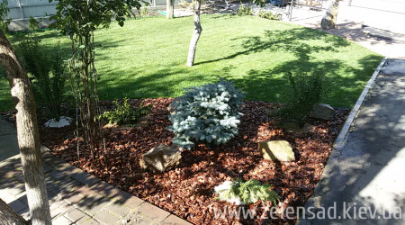 Цветники и клумбы